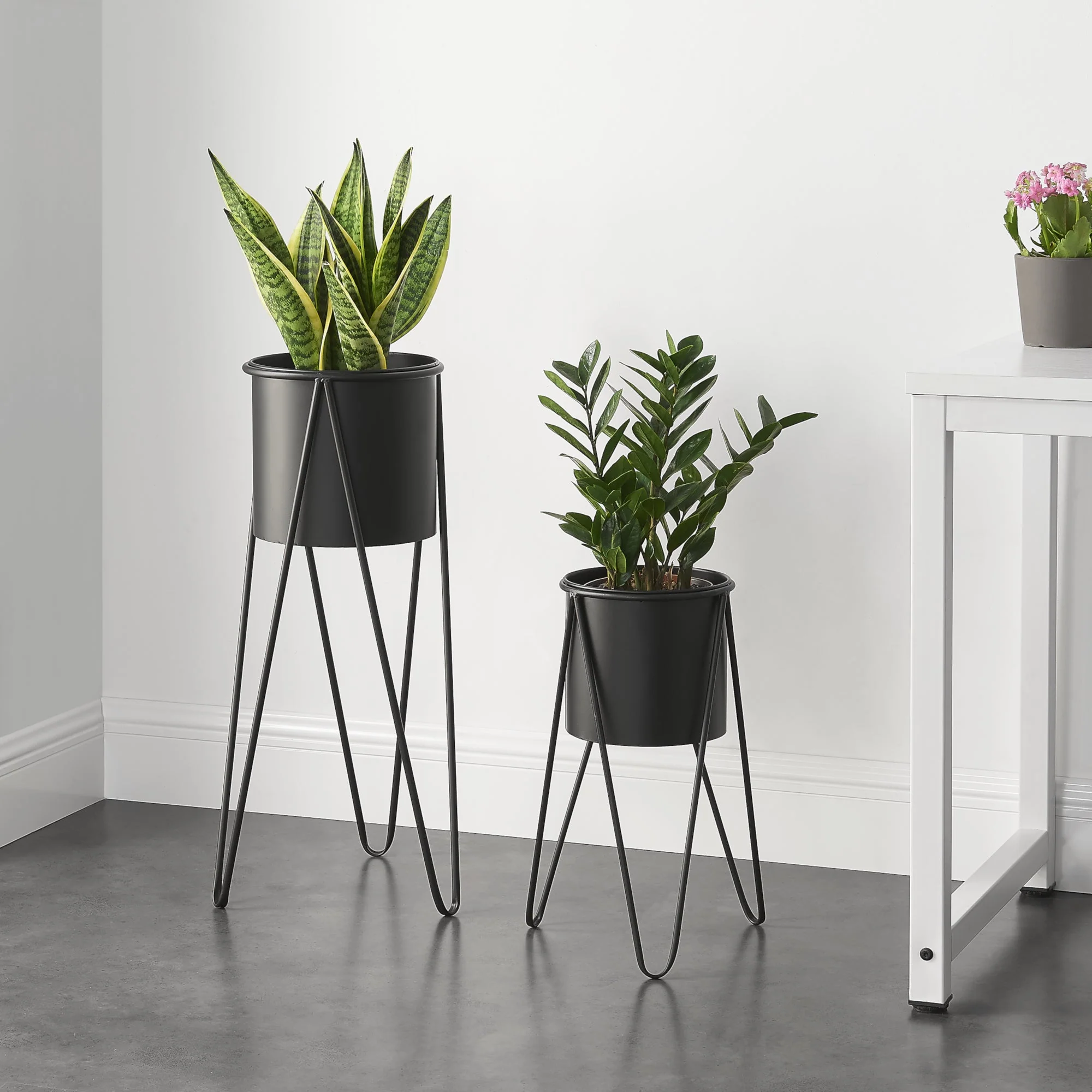 Pflanzenständer Hedera im 2er Set Metall Schwarz [en.casa] - Image 2