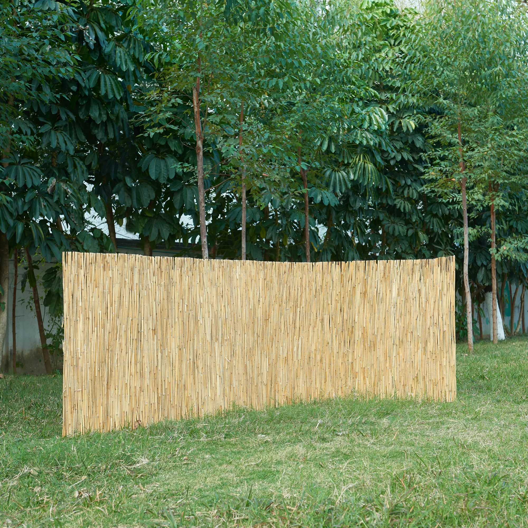 Schilfzaun Abbateggio [casa.pro] - Image 3